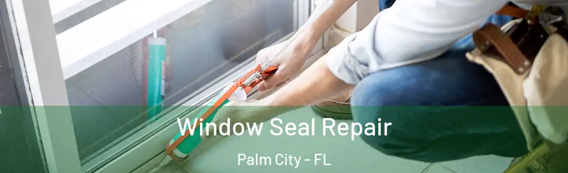 Window Seal Repair Palm City - FL